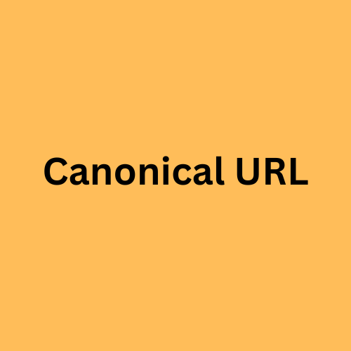 SEO-Optimized Canonical URLs